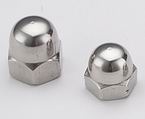 Stainless Steel Cap Nut