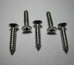 Stainless Steel Self Tapping Screw