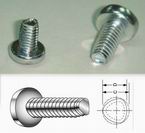 Trilobular Thread Forming Screw