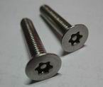 Security Screws with Pin in Torx Head